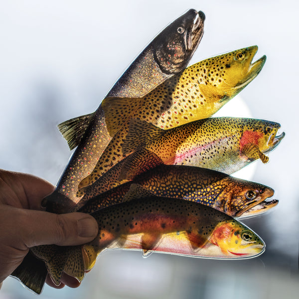 The Trout Mobile KIT