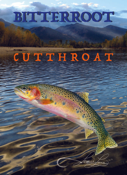 Montana's Four Rivers & Trout 5x7 art prints