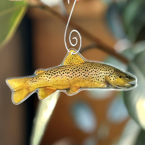 Trout Ornament Collectibles Limited Edition 2025