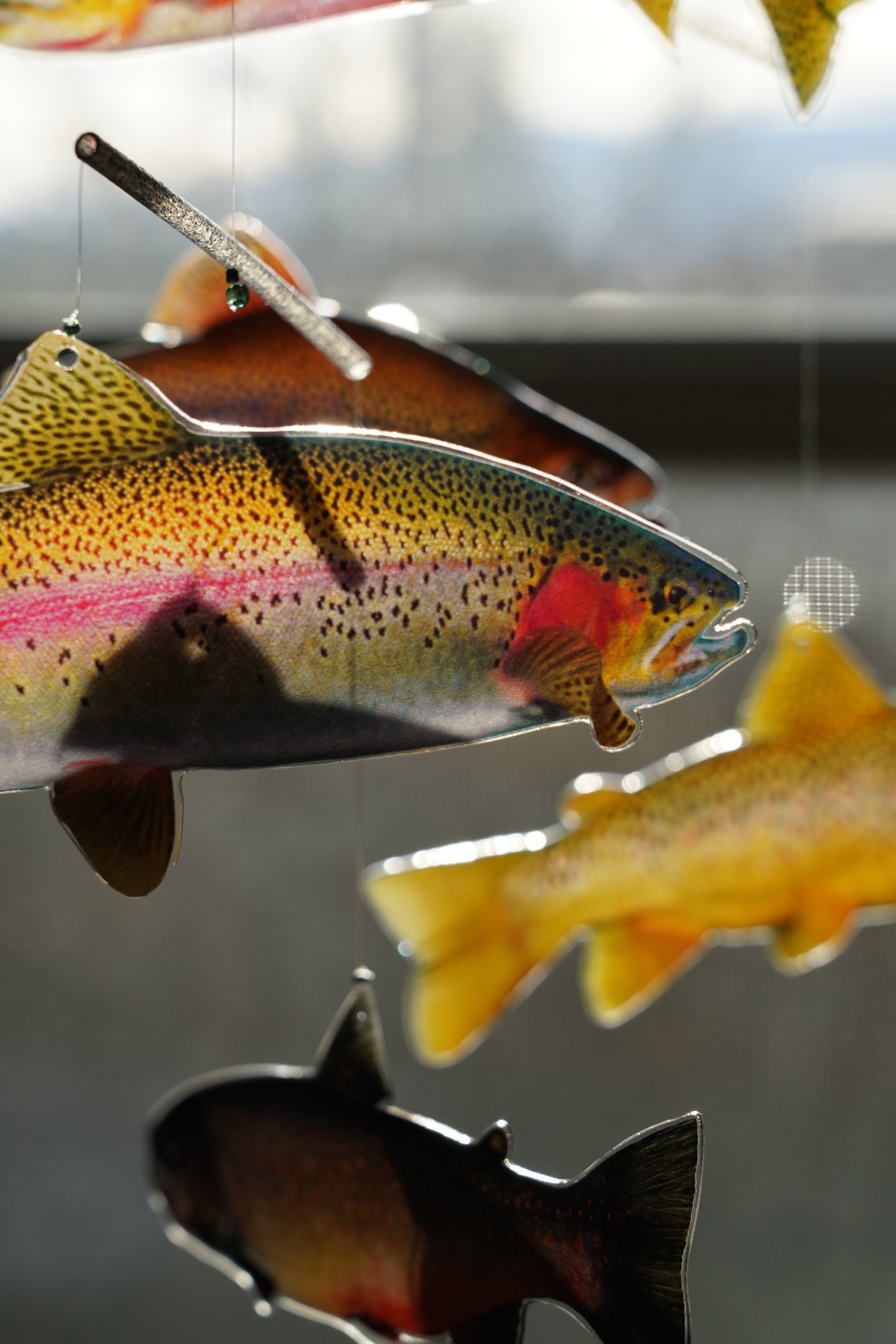 The Trout Mobile – Trout and Company