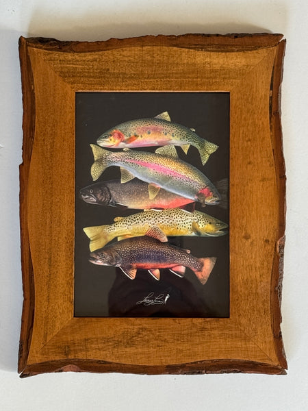 Trout Ornament Collectibles Limited Edition 2025