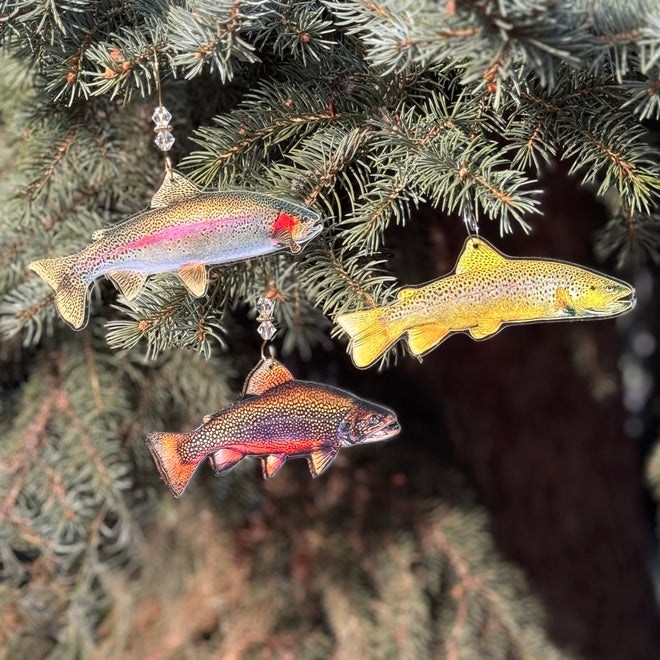 Trout Ornament Collectibles Limited Edition 2025