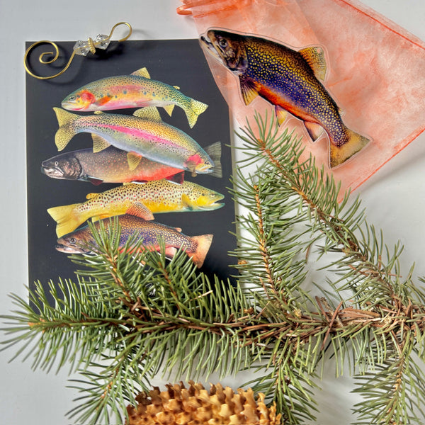 Trout Ornaments & Print Collection 2025