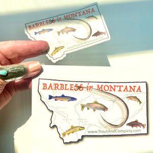 Barbless in Montana Postcard and Sticker