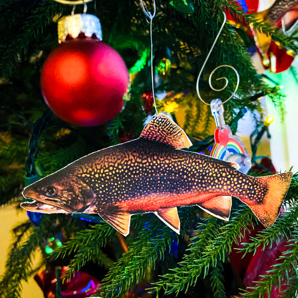 Trout Ornament Collectibles Limited Edition 2025
