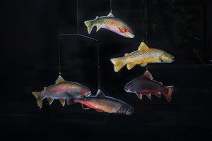 A rainbow trout, brown trout, cutthroat, brook, and bull trout swim about where ever you hang this beautiful trout mobile. The Trout Mobile Kit provides entertainment, eduction, and inspires conservation of our trout and habitat. Fly fishing for trout!