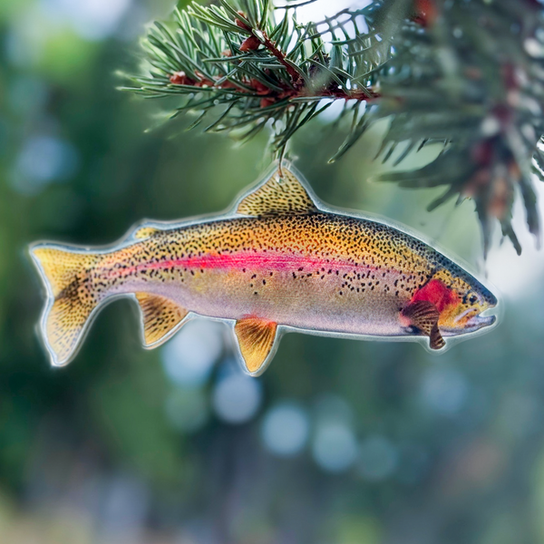 Trout Ornament Collectibles Limited Edition 2025